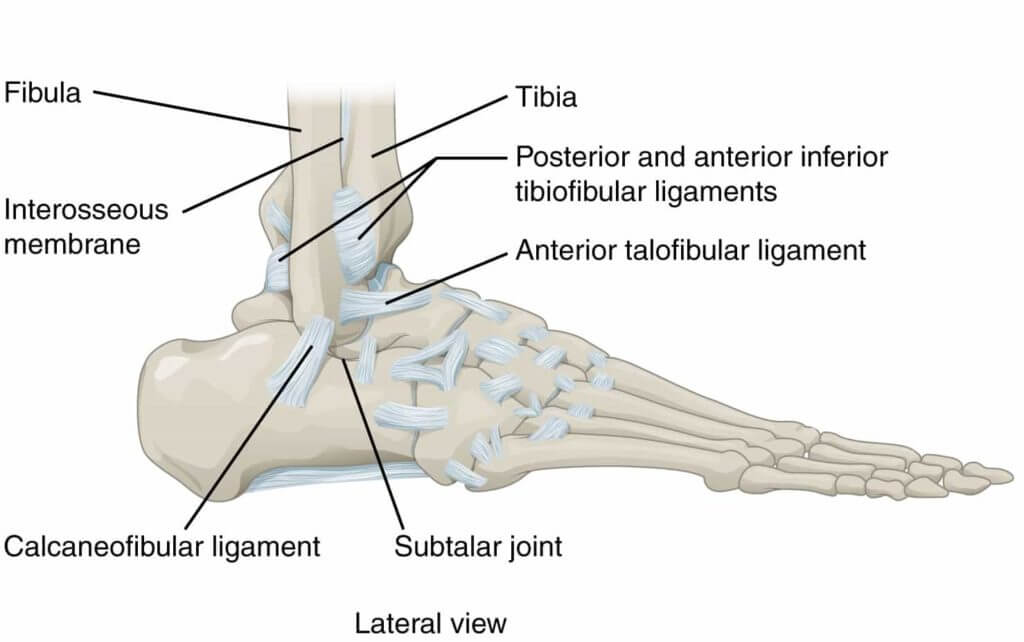 Ankle surgery orthospecialist bangalore