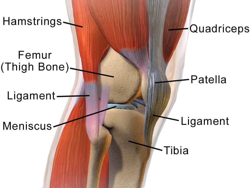 Knee Surgery ortho specialist bangalore